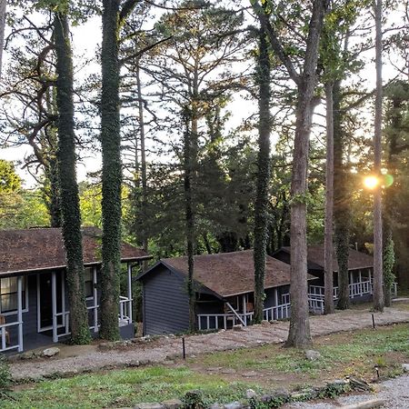 Adventure Cabin 5 - King W Private Hot Tub Villa Eureka Springs Dış mekan fotoğraf